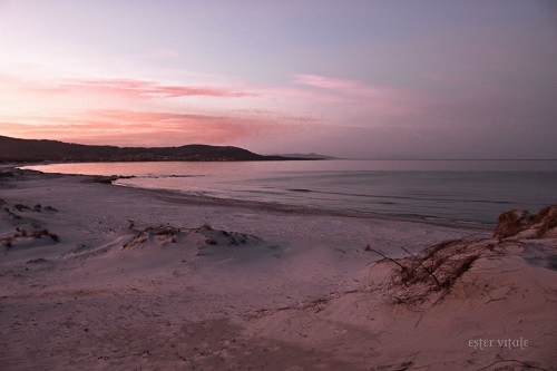 Capo Comino