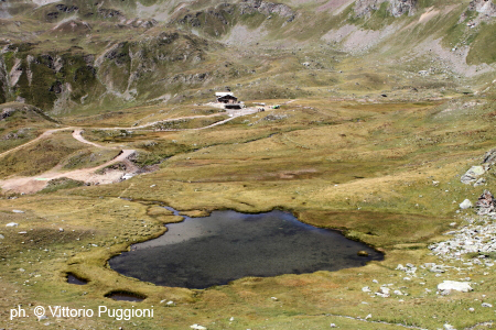 Lago delle Rane