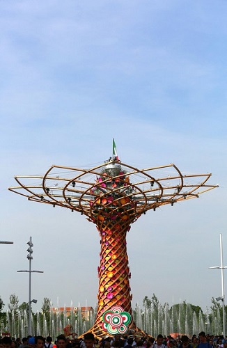 expo