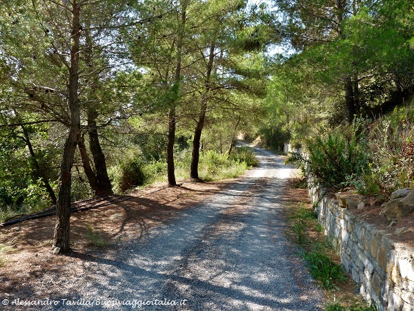 valledelsanlorenzo
