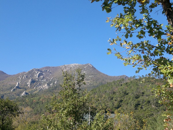 trekking
