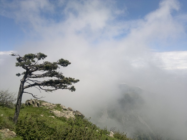 Sul Monte Rama nei Monti su Riviera di Ponente ligure