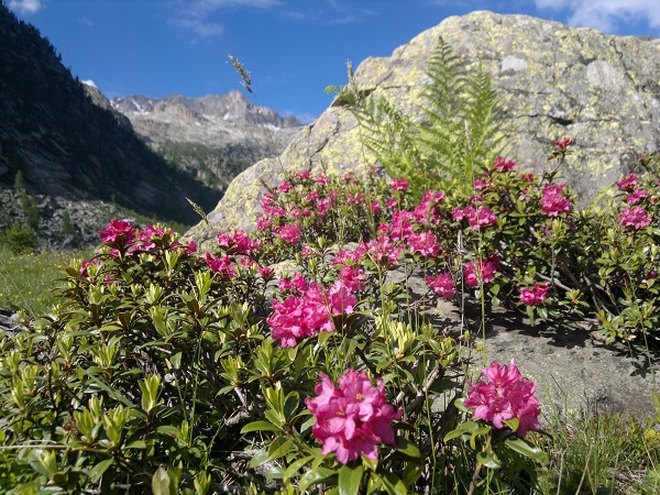 Trekking in Val Gesso