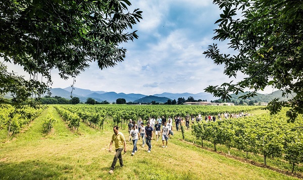 Franciacorta