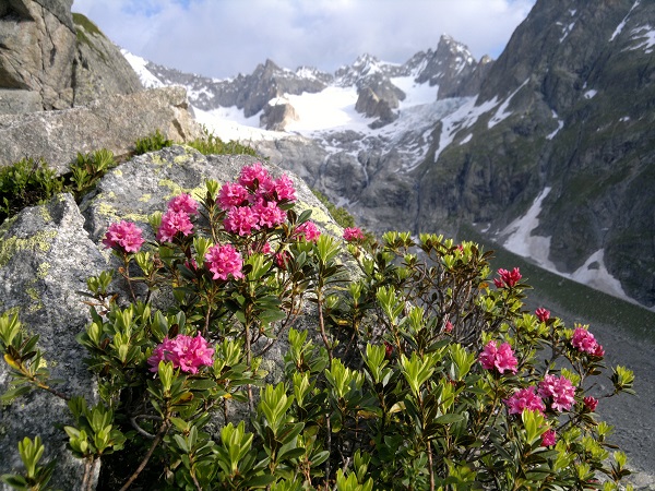 Val Ferret