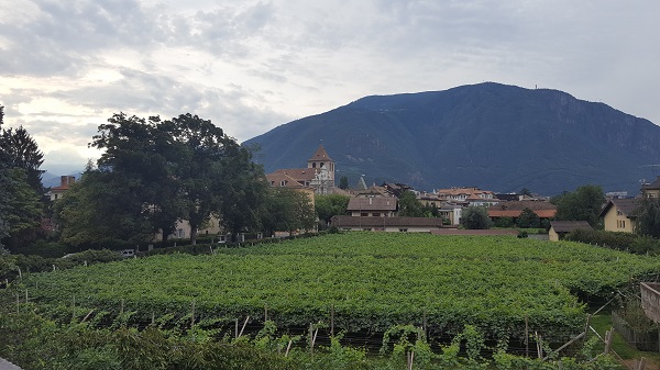 Bolzano vigneti gries