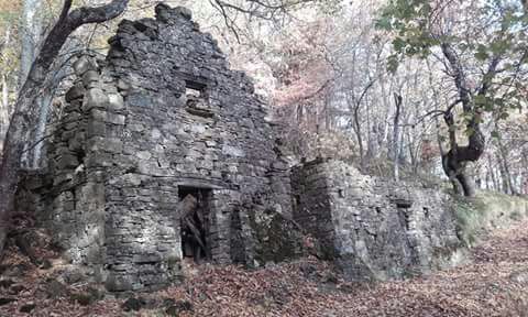 chiapparo