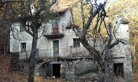 chiapparo