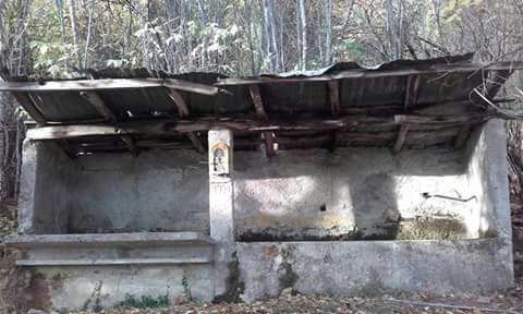 chiapparo