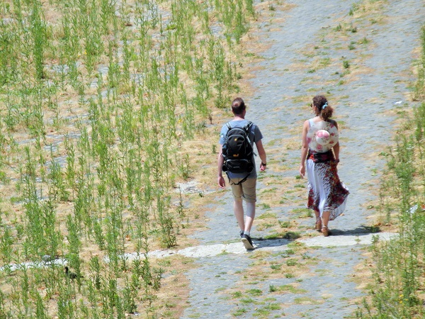 libro Il viaggio dentro