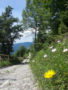 Turismo delle origini