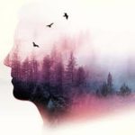meditazione Vipassana