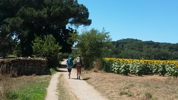 rete nazionale donne in cammino