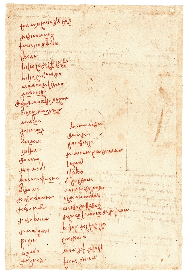 Lista libri Leonardo